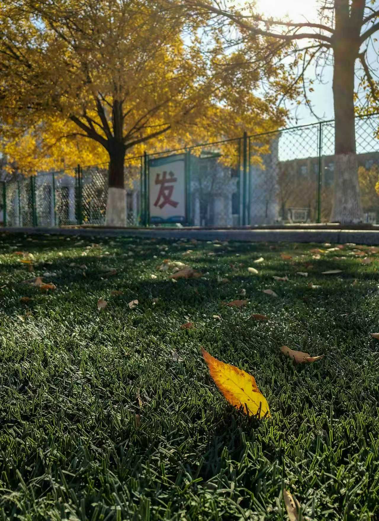 4cf8ffd46db157824e664d2979a4c648